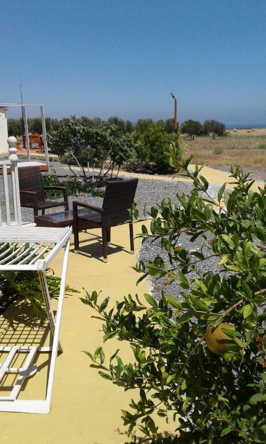 Mersinera Paradise Garden Stars House Larnaca Extérieur photo