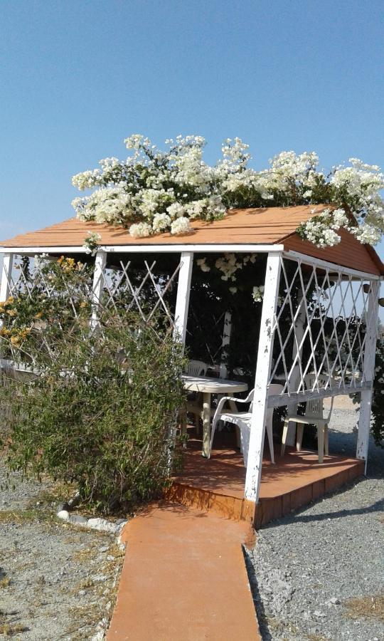 Mersinera Paradise Garden Stars House Larnaca Extérieur photo