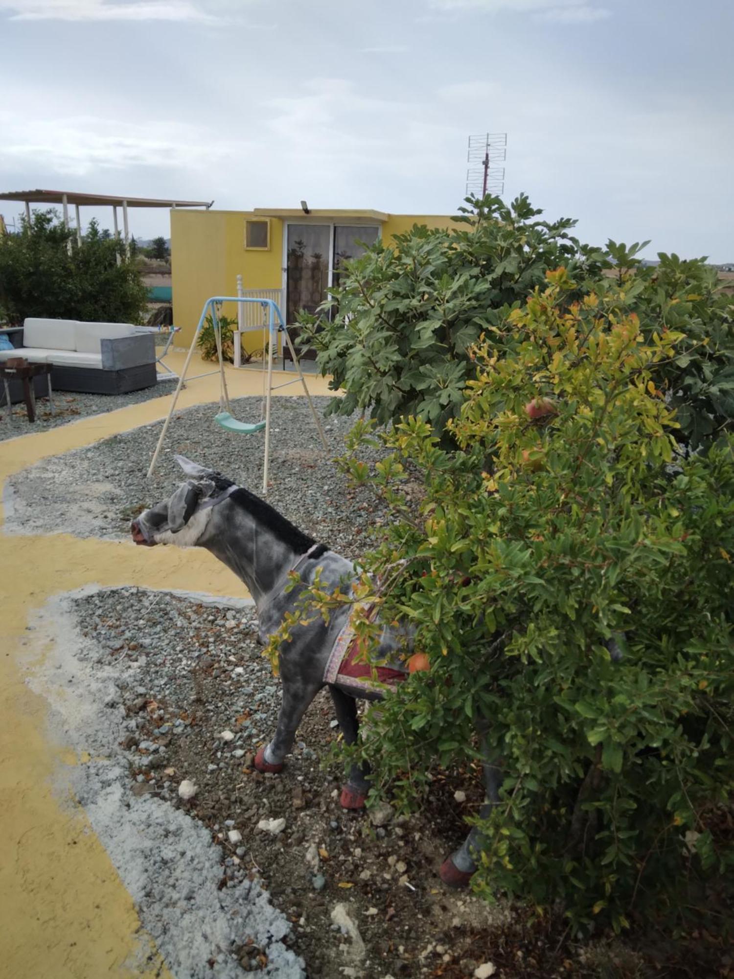 Mersinera Paradise Garden Stars House Larnaca Extérieur photo